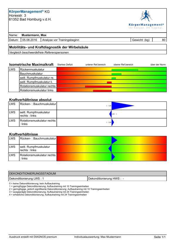 Rückentest Biomechanische Funktionsanalyse der Wirbelsäule