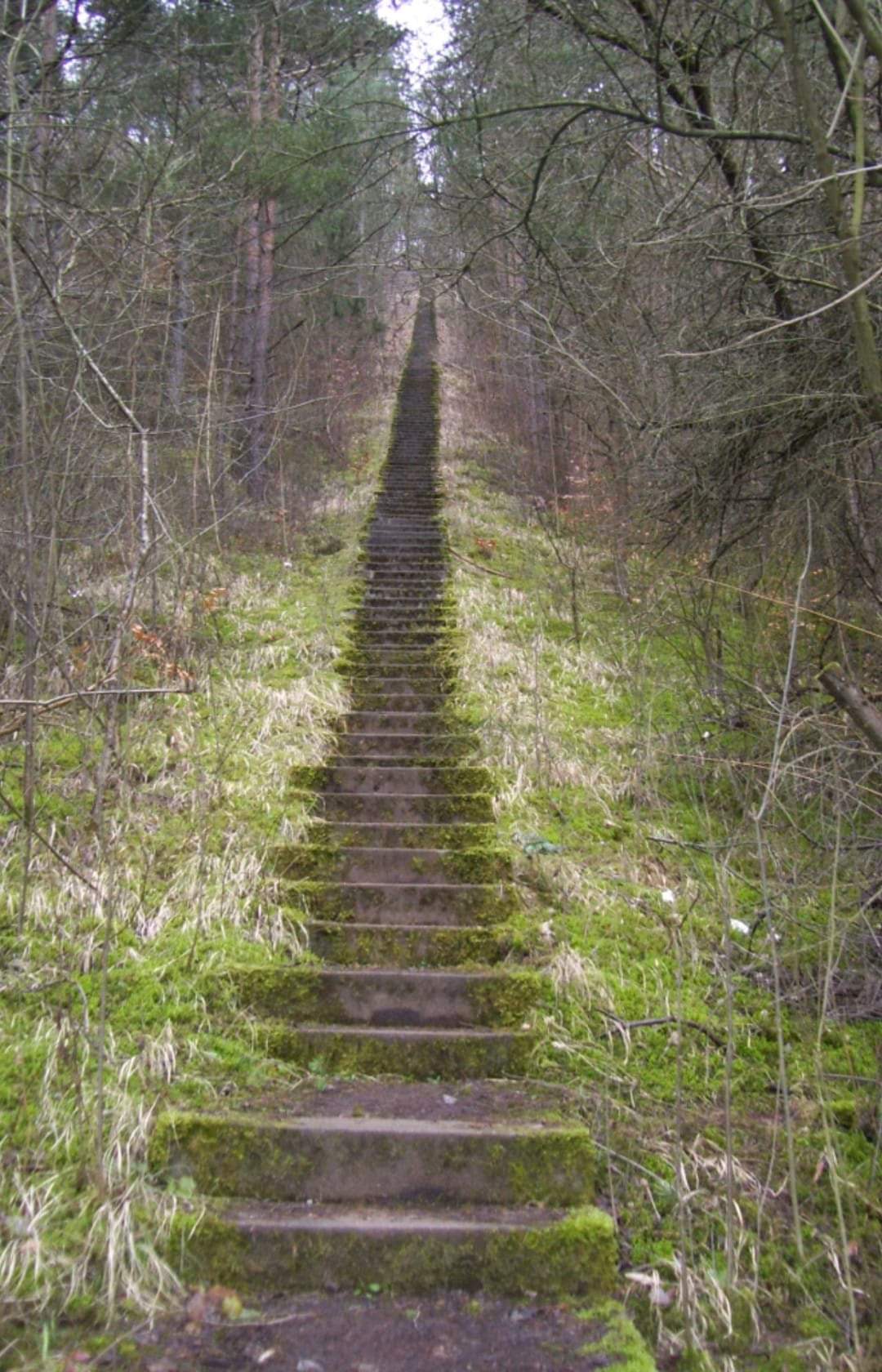 Treppe