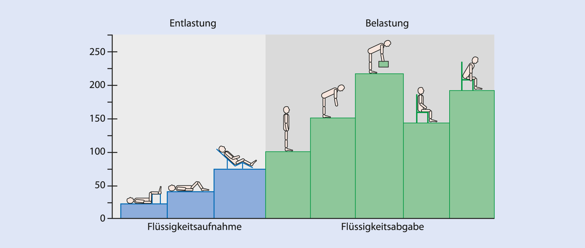 Gesunder Rücken, Rückentraining