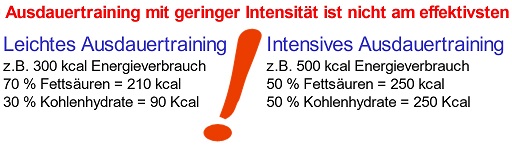 Ausdauertrainingsbereiche und Kilokalorienverbrauch