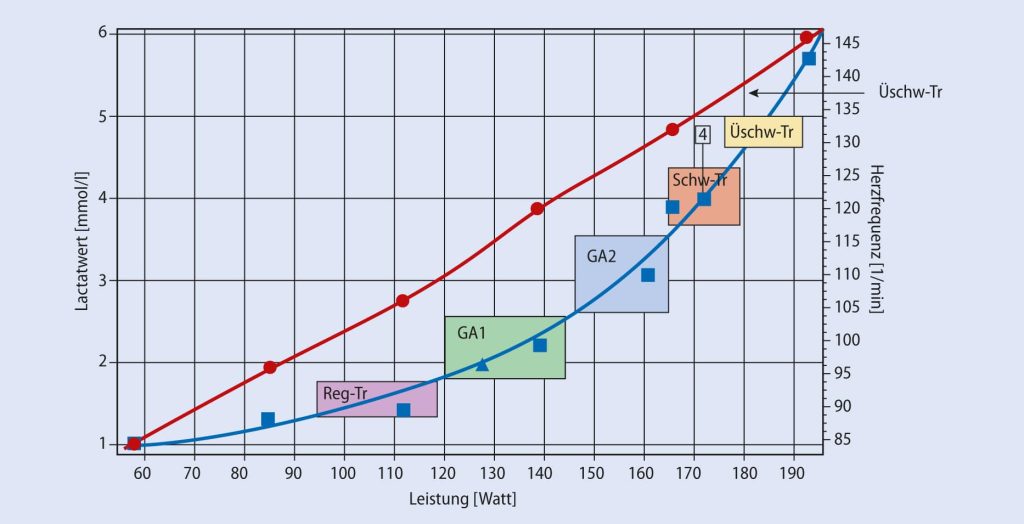Laktatanalyse zur Gewichtsabnahme durch Ausdauertraining im „Fettverbrennungspuls“