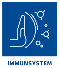 Bild Immunsystem